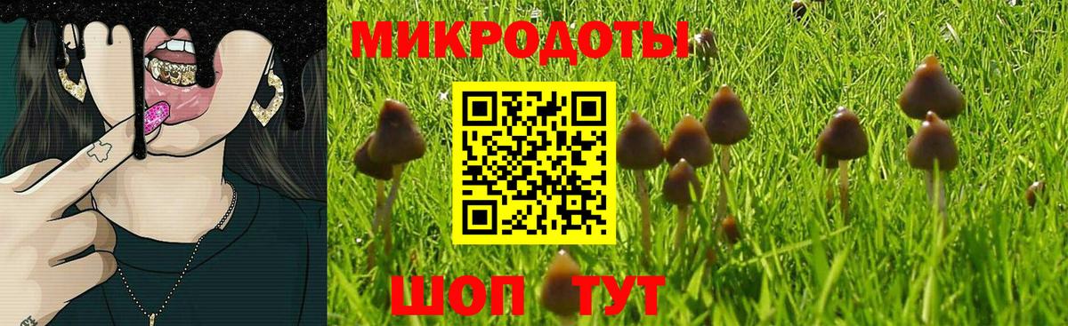 Псилоцибиновые грибы Нижний Тагил
